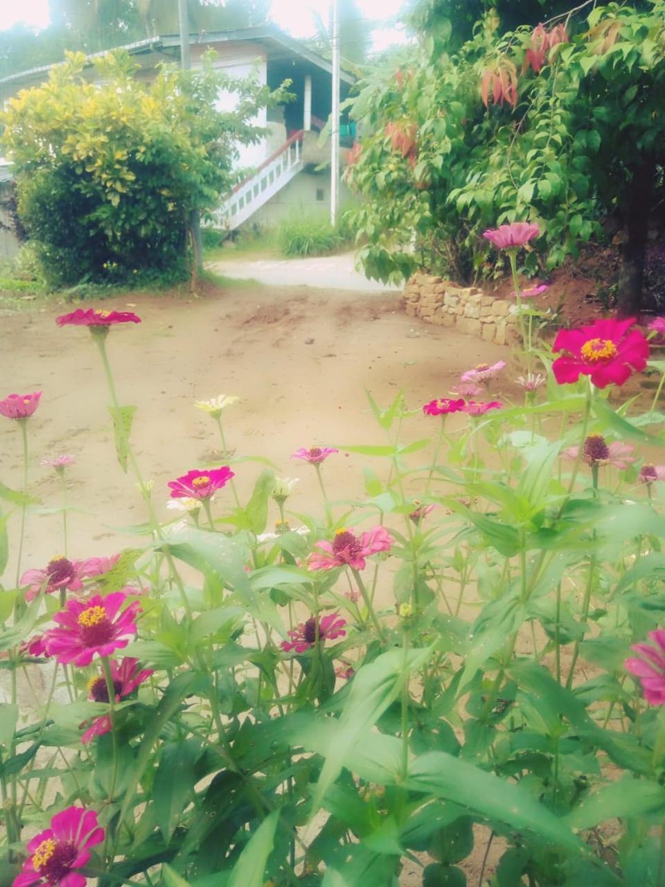 Alexandra Home For Foreign Tourists Only Gampola Luaran gambar